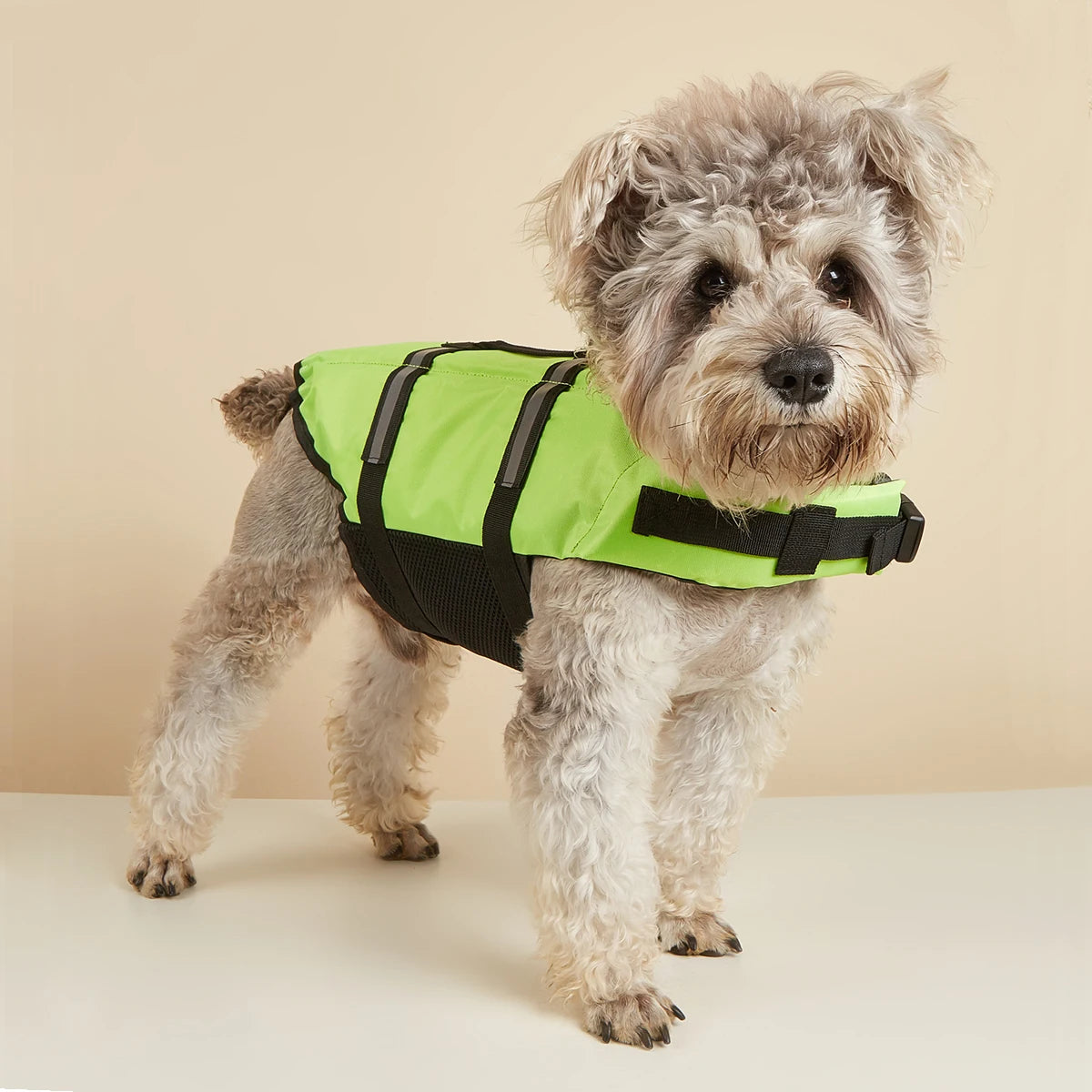Gilet de sauvetage chien surf plage vert demo