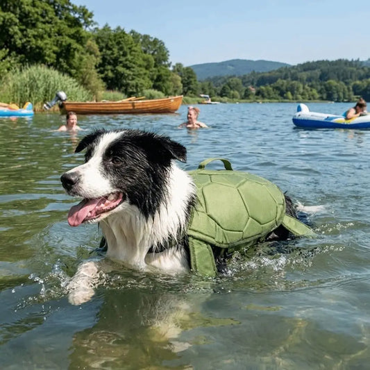 Gilet sauvetage chien forme tortue collie nage