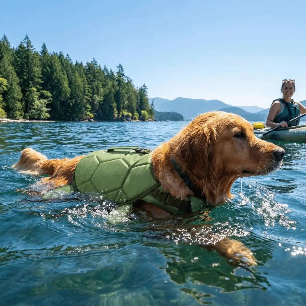 Gilet sauvetage chien forme tortue golden retriever nage kayak