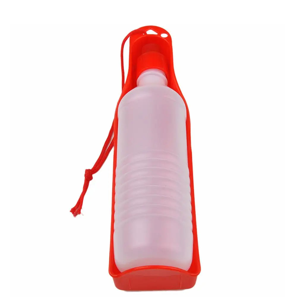 Gourde pour chien bol boire rouge