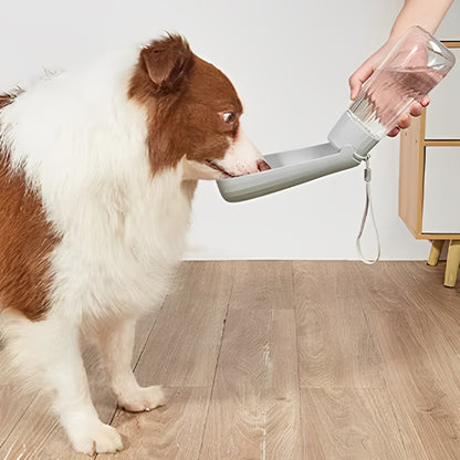 Gourde pour chien bouteille anti-fuite berger australien gris