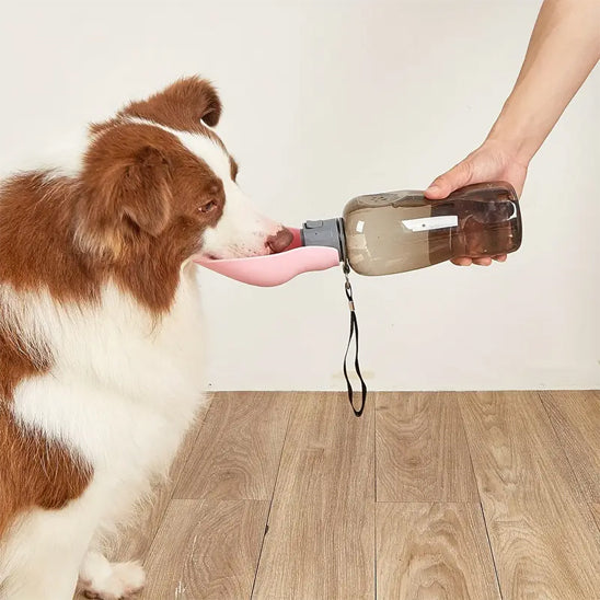 Gourde pour chien bouteille voyage berger australien boit rose