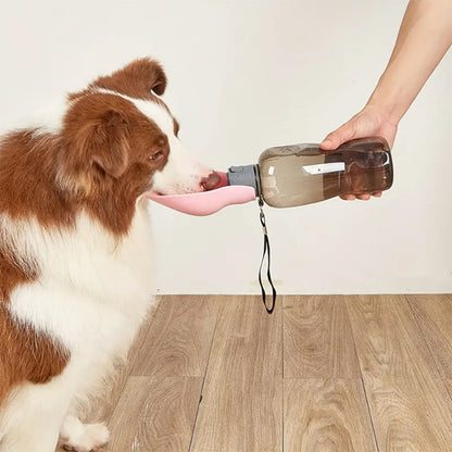 Gourde pour chien bouteille voyage berger australien boit rose
