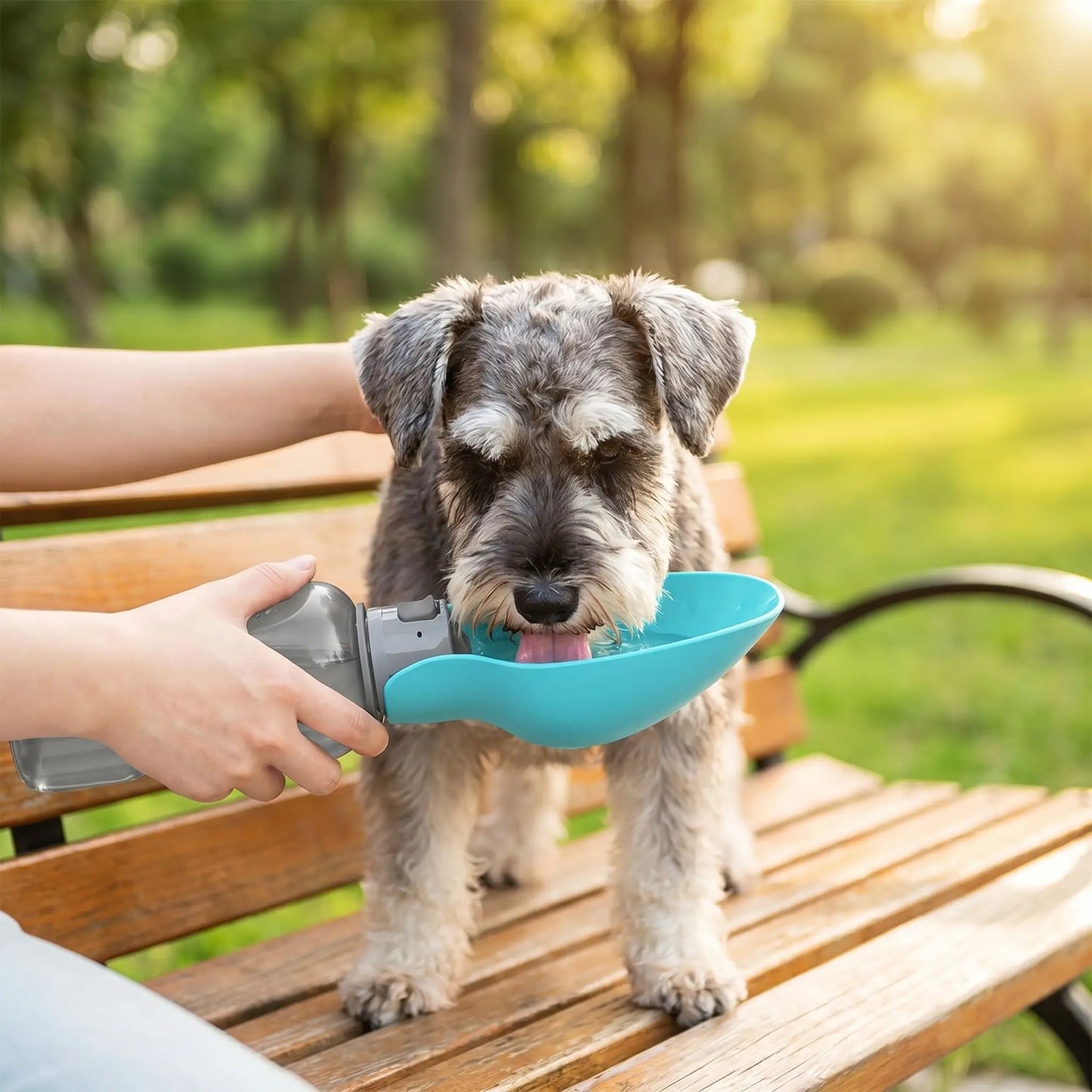 Gourde pour chien bouteille voyage vert schnauzer