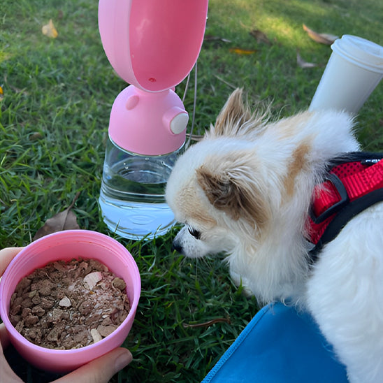 Gourde pour chien collation parc mange rose
