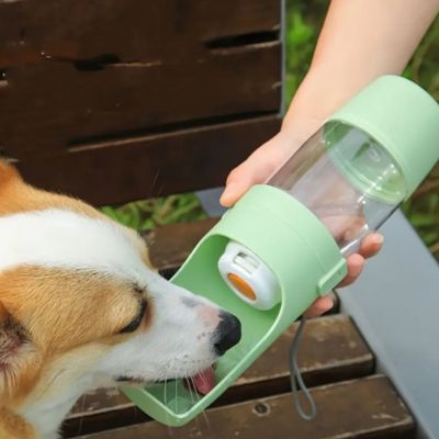 Gourde pour chien mangeoire voyage corgi vert