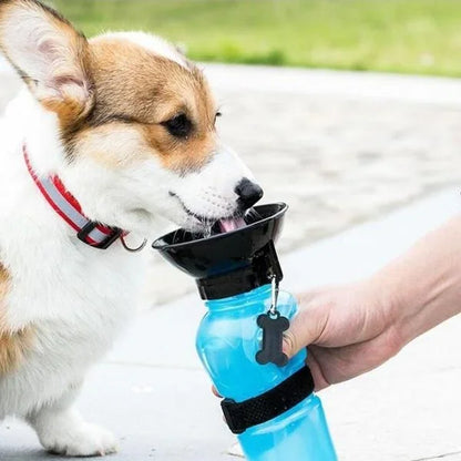 Gourde pour chien pratique emporter boire parc bleu