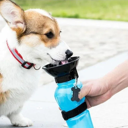 Gourde pour chien pratique emporter boire parc bleu
