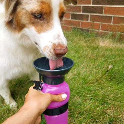 Gourde pour chien pratique emporter boire pression main rose