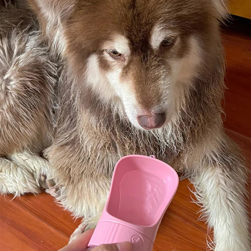 Gourde pour chien récipient alimentaire chien couché rose
