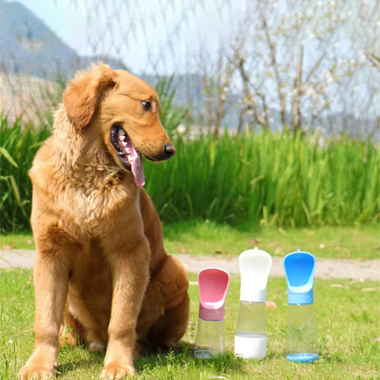 Gourde pour chien récipient alimentaire 3 couleurs parc