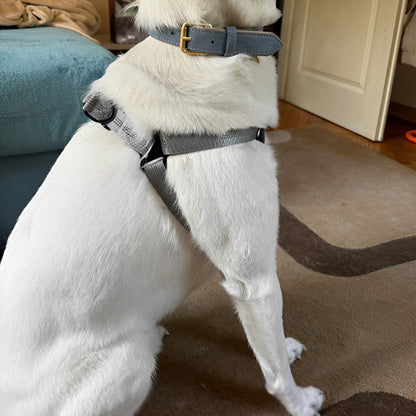 Harnais chien | ajustable et resistant