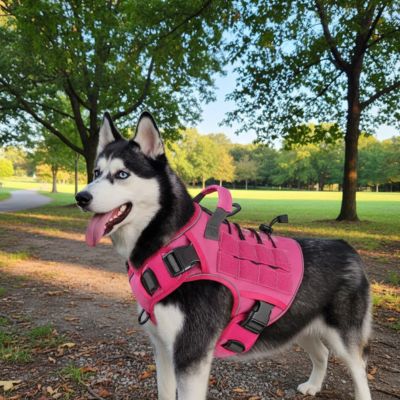 Harnais chien anti-traction | Gilet tactique rose et orange