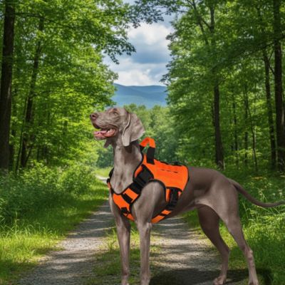 Harnais chien anti-traction | Gilet tactique rose et orange