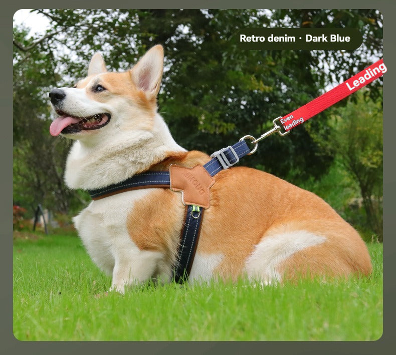Harnais chien | Cuir et denim