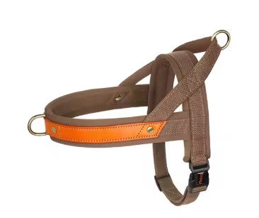 Harnais chien | durable et rembourré