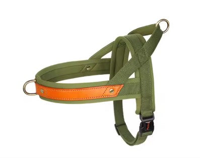 Harnais chien | durable et rembourré