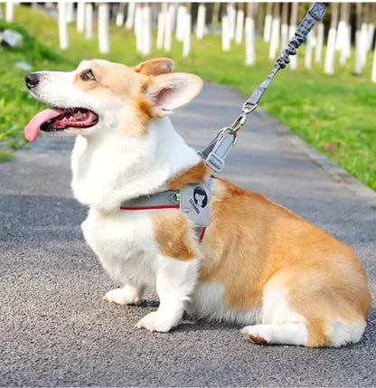 Harnais chien | extensible et réfléchissant