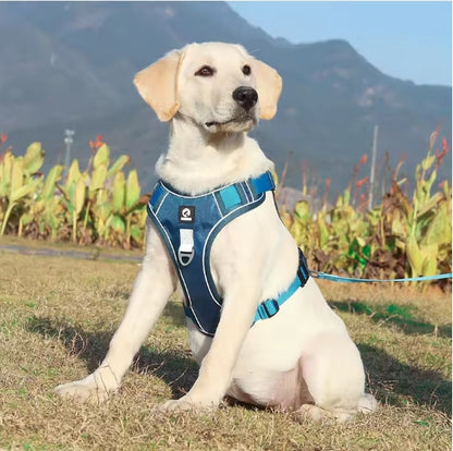 Harnais chien | Grande mobilité