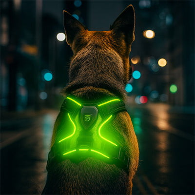 Harnais chien lumineux | Sécurité nocturne rouge et vert
