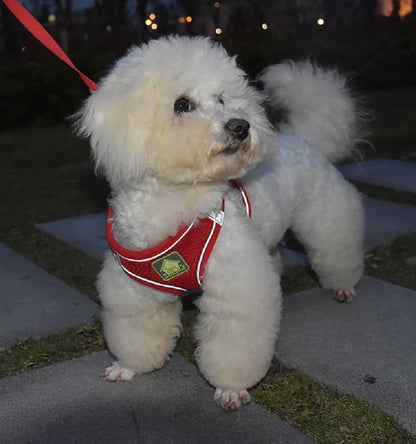 Harnais chien | Maille respirante