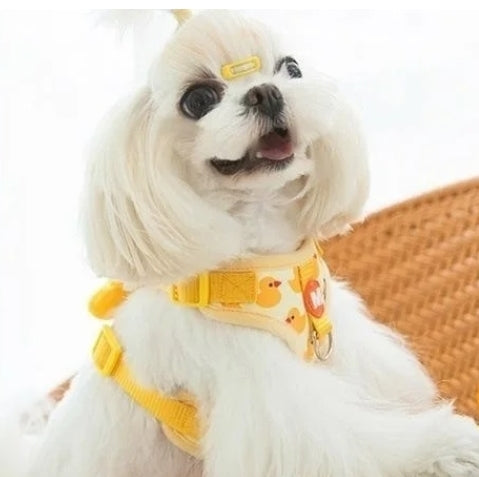 Harnais chien | motif canard