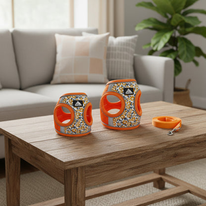 Harnais pour petit chien | Motif marguerites