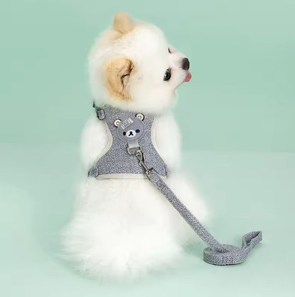 Harnais chien | petit et mignon