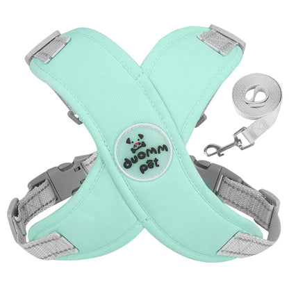 Harnais chien | Protecteur et design en X
