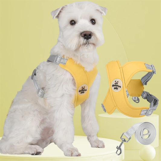 Harnais chien | Protecteur et design en X