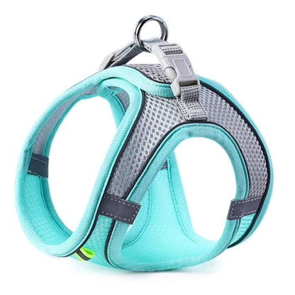 harnais chien respirant colore bleu