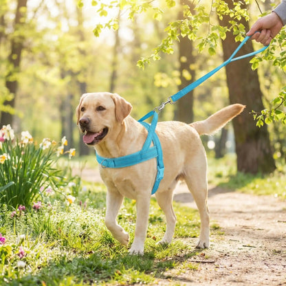 Harnais chien support 4 saisons  labrador bleu