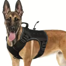 Harnais chien | Tactique et renforcé