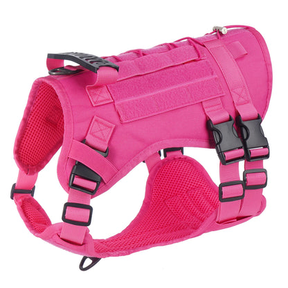 Harnais chien | Tactique et renforcé