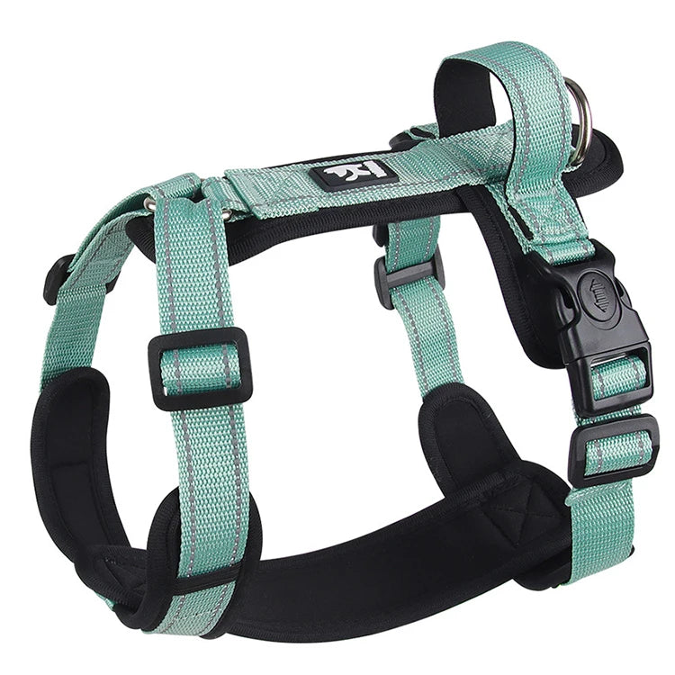 Harnais petit chien ergo réfléchissant modèle vert