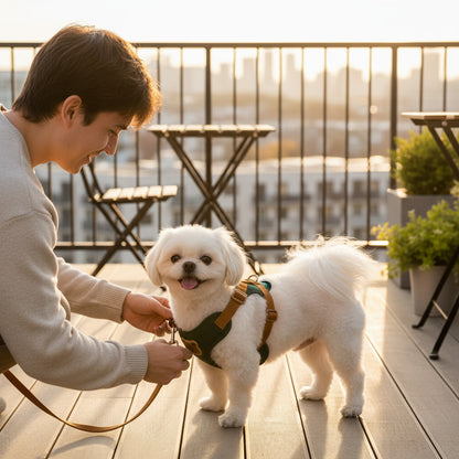 Harnais pour petit chien | Motif ourson