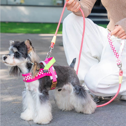 Harnais pour chien motif damier Schnauzer rose