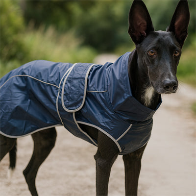 Imperméable chien | Haute visibilité avec capuche