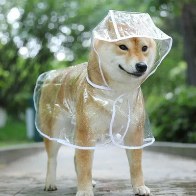 Imperméable chien transparent capuche akita modèle