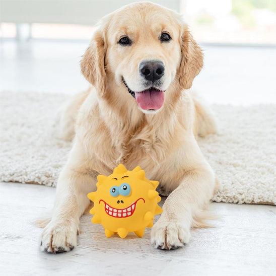Jouet a macher nettoyage molaires golden jaune