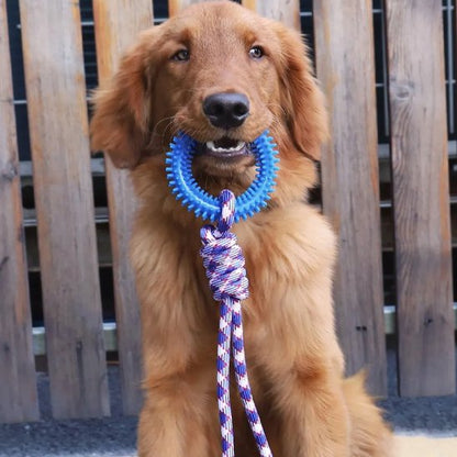 Jouet chien amusement interactif bleu tient gueule