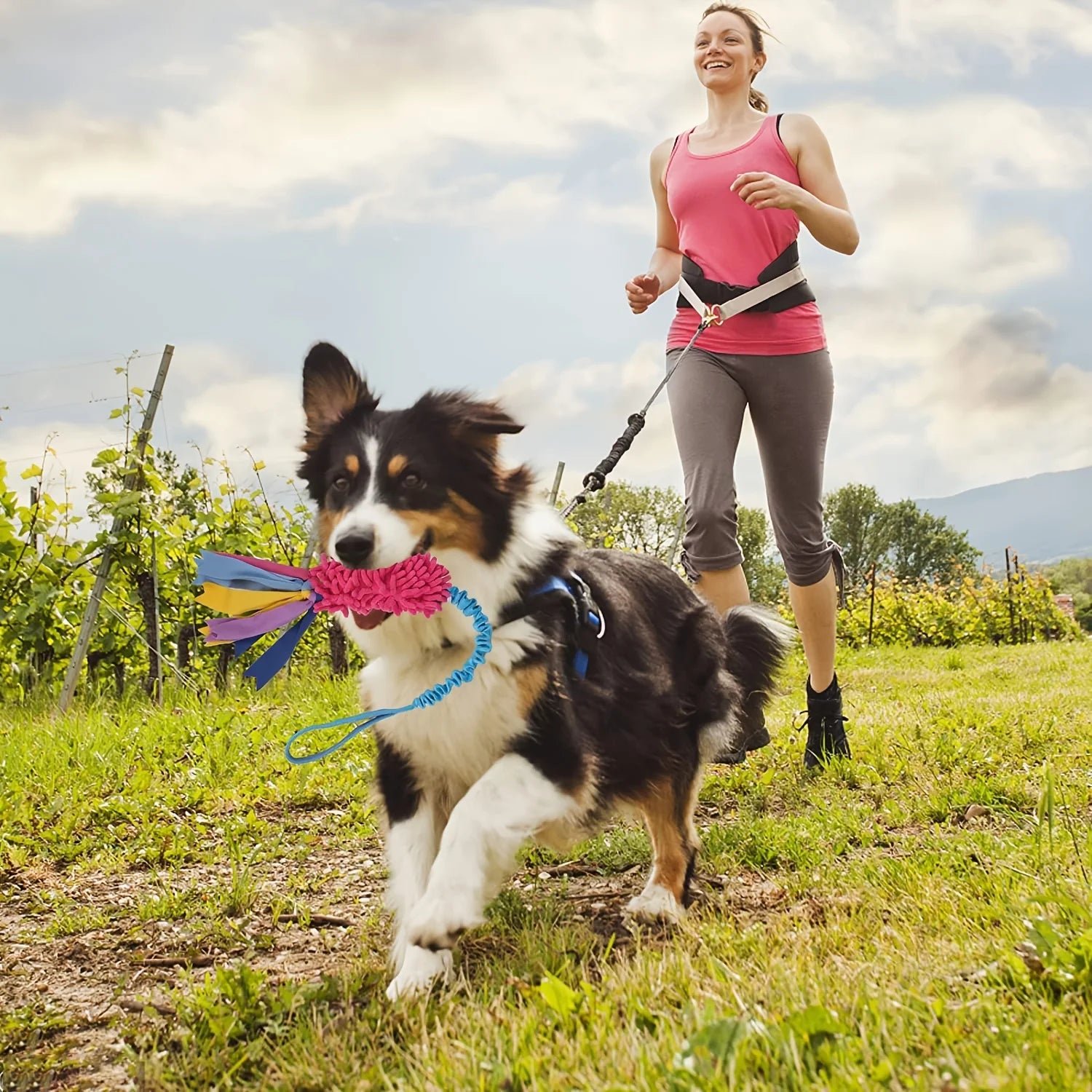 Jouet chien corde traction rose pompon canicross