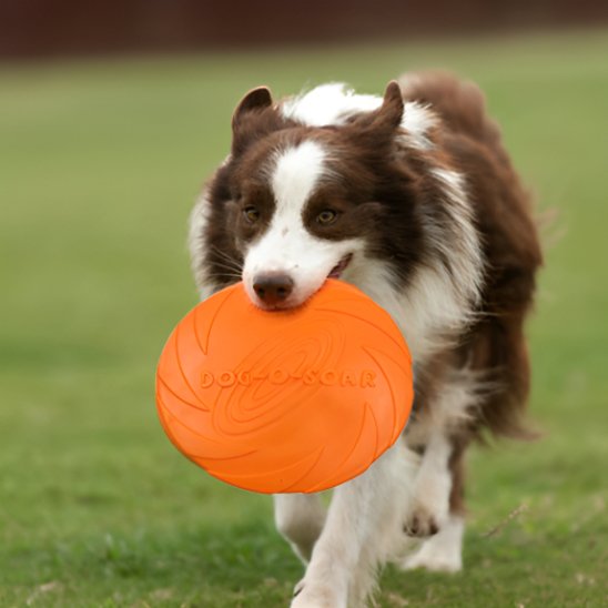 Jouet chien disque volant pliable orange