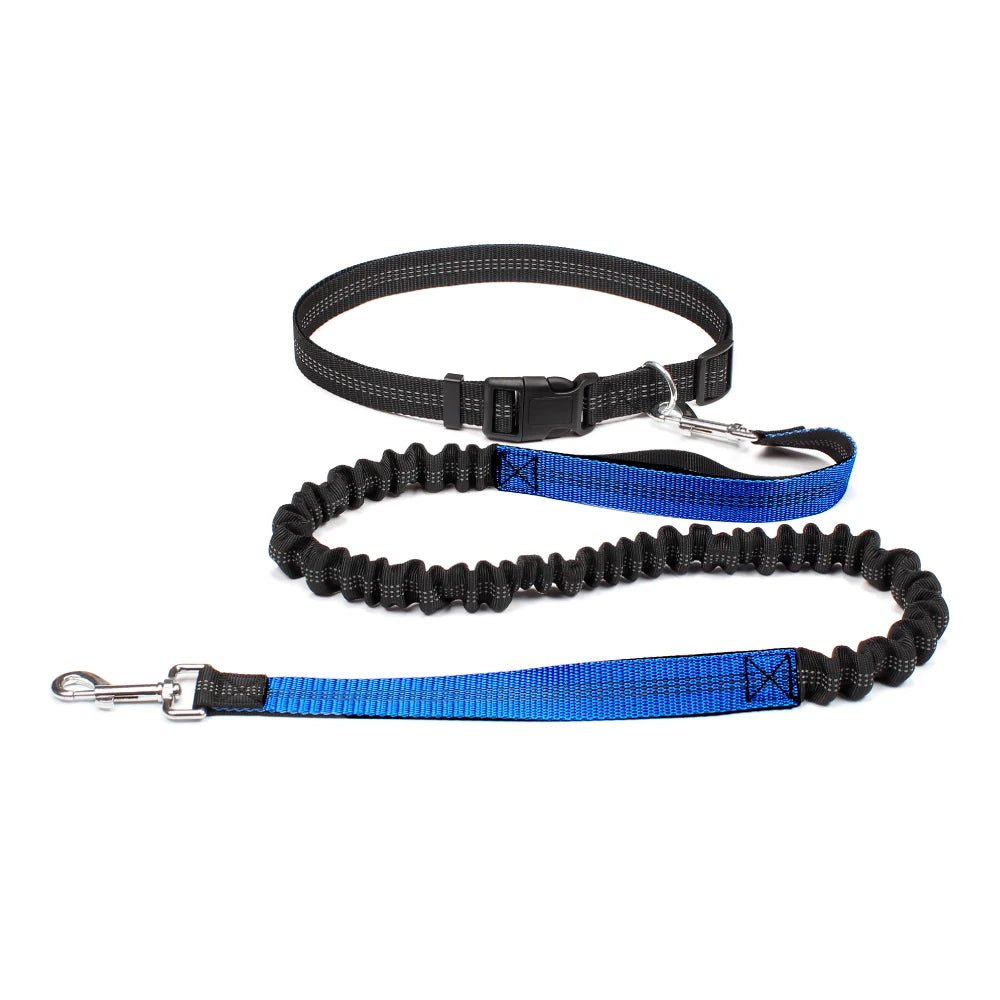 Laisse canicross Double élastique en nylon bleu