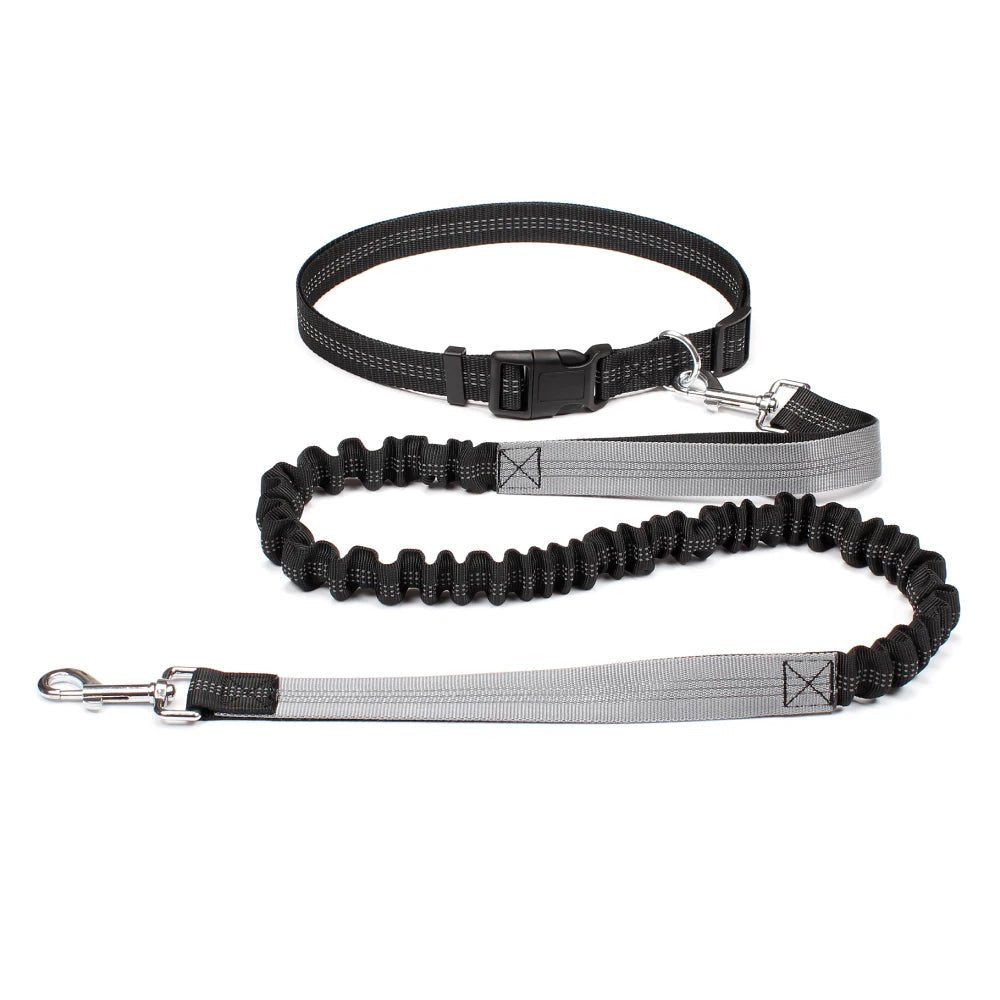 Laisse canicross Double élastique en nylon gris