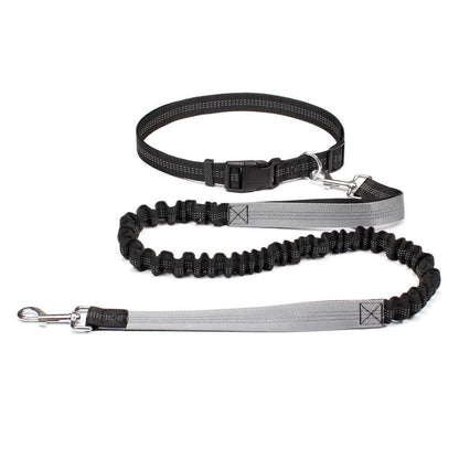 Laisse canicross Double élastique en nylon gris
