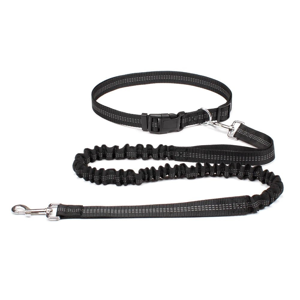 Laisse canicross Double élastique en nylon noir