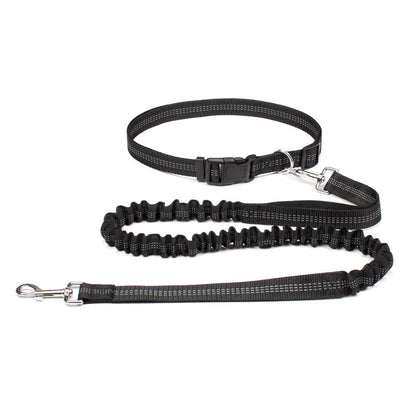 Laisse canicross Double élastique en nylon noir