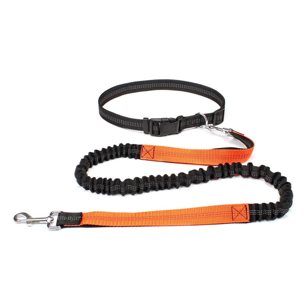 Laisse canicross Double élastique en nylon orange