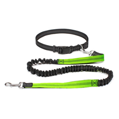 Laisse canicross  Double élastique en nylon vert